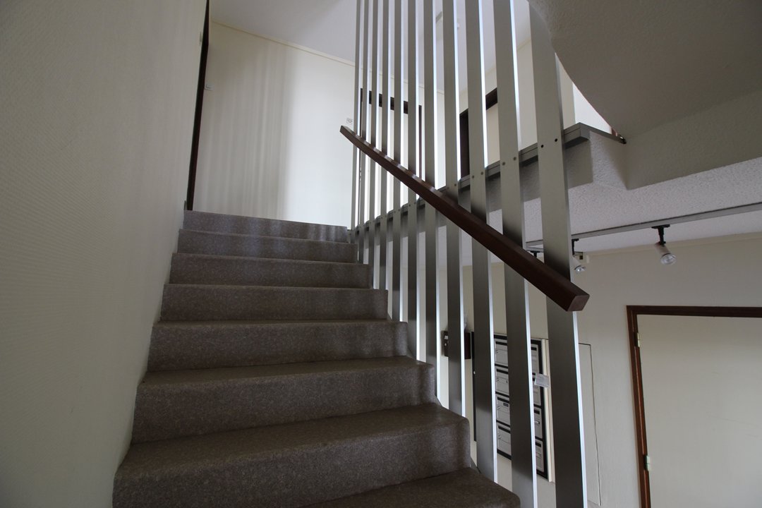 /picture/helios/116215201/MARYLAND M2/12_2026-02-24CET16h00-10.jpg